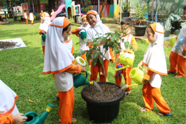 picture gallery galeri